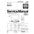PHILIPS V6821 Manual de Servicio