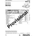 PHILIPS 25PT8304 Manual de Servicio