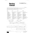 PHILIPS D12T100 Manual de Servicio