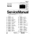 PHILIPS AVM710 Manual de Servicio