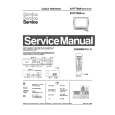 PHILIPS 21PT700A Manual de Servicio